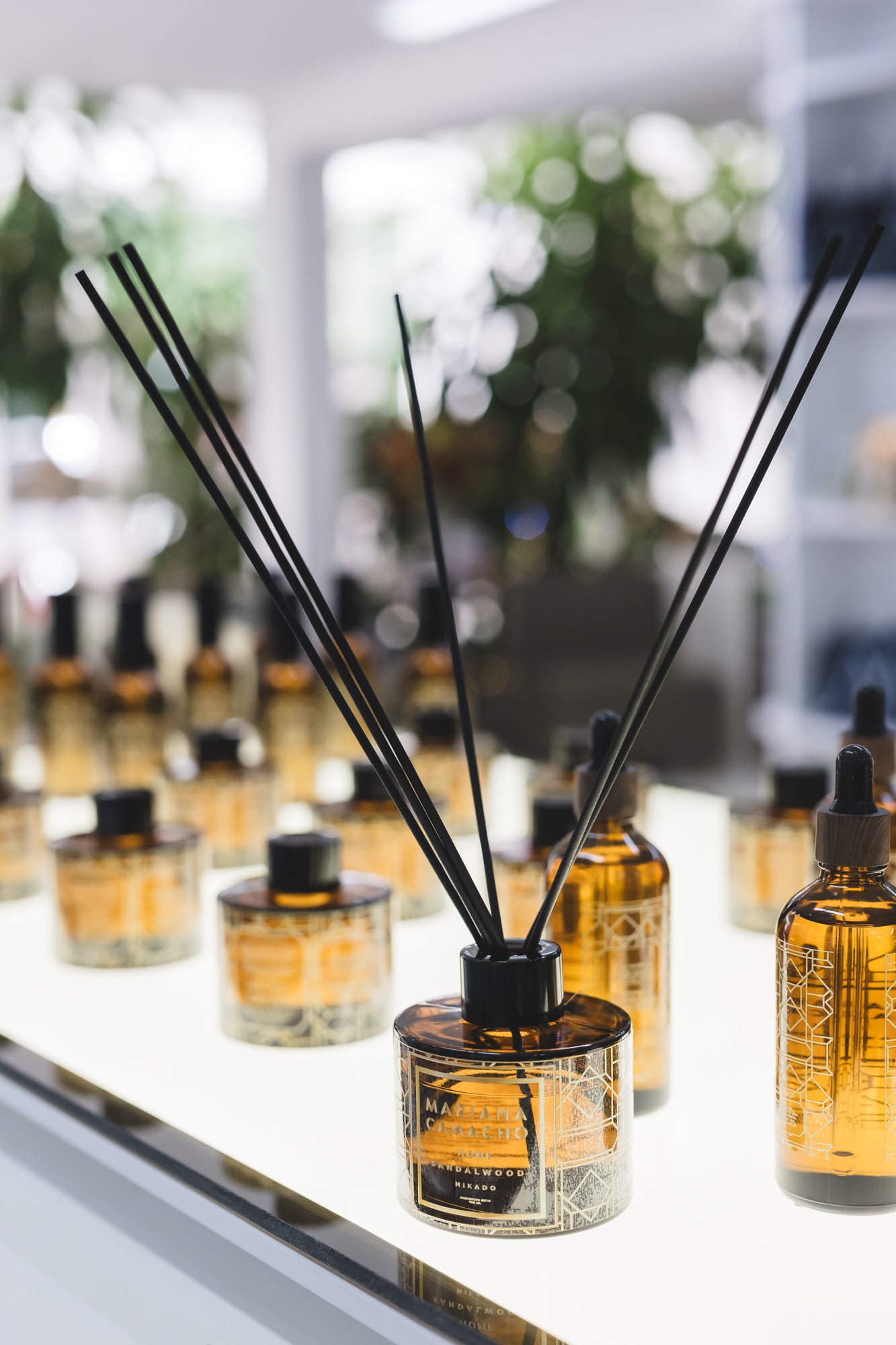 Mikado Sandalwood